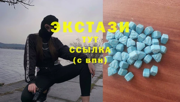 стафф Елизово