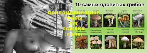 apvp Наволоки