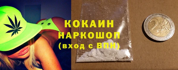 индика Бабаево