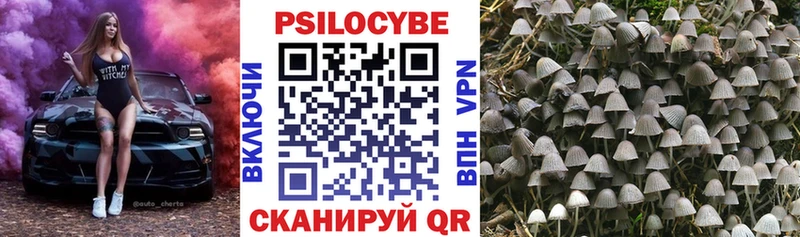 купить цена Белоозёрский Псилоцибиновые грибы прущие грибы